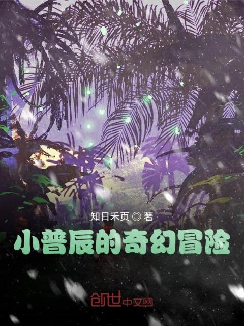 小普辰的奇幻冒险