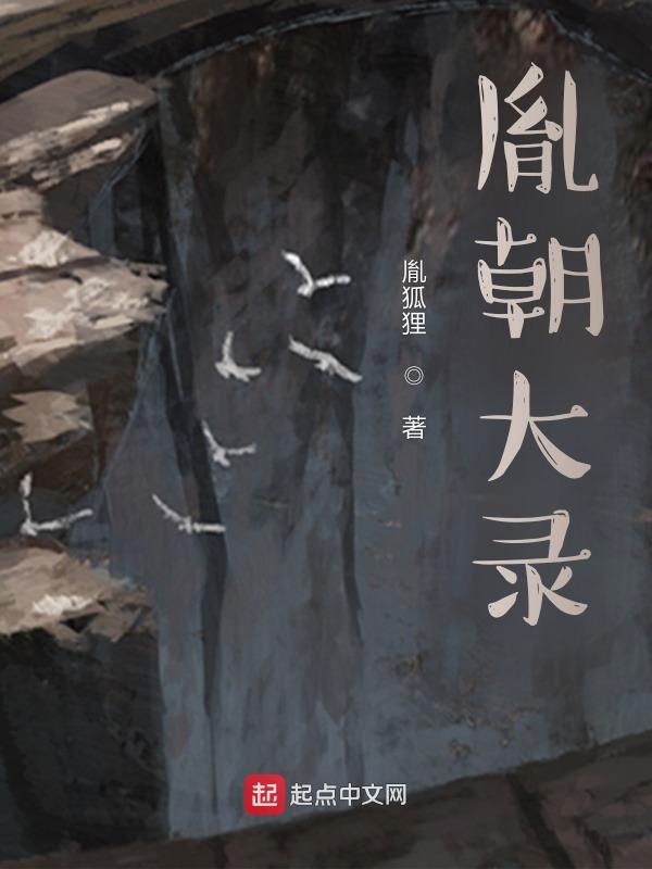 胤朝大录