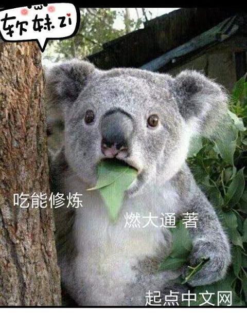 吃能修炼