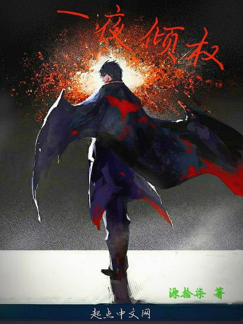 一夜倾权