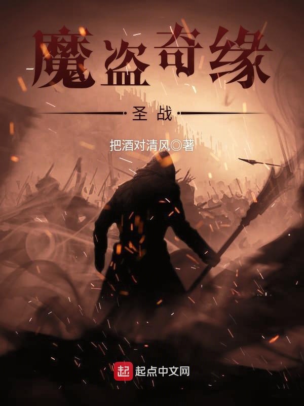 魔盗奇缘——圣战