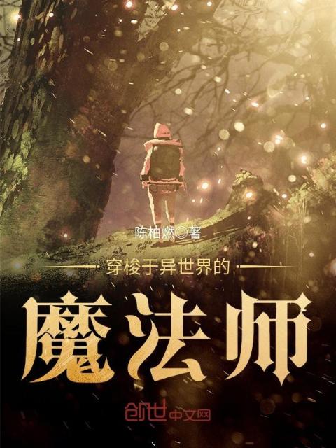 穿梭于异世界的魔法师