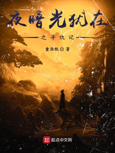 夜暗光犹在之寻仇记