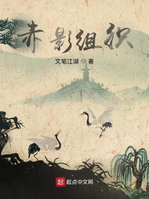赤影组织