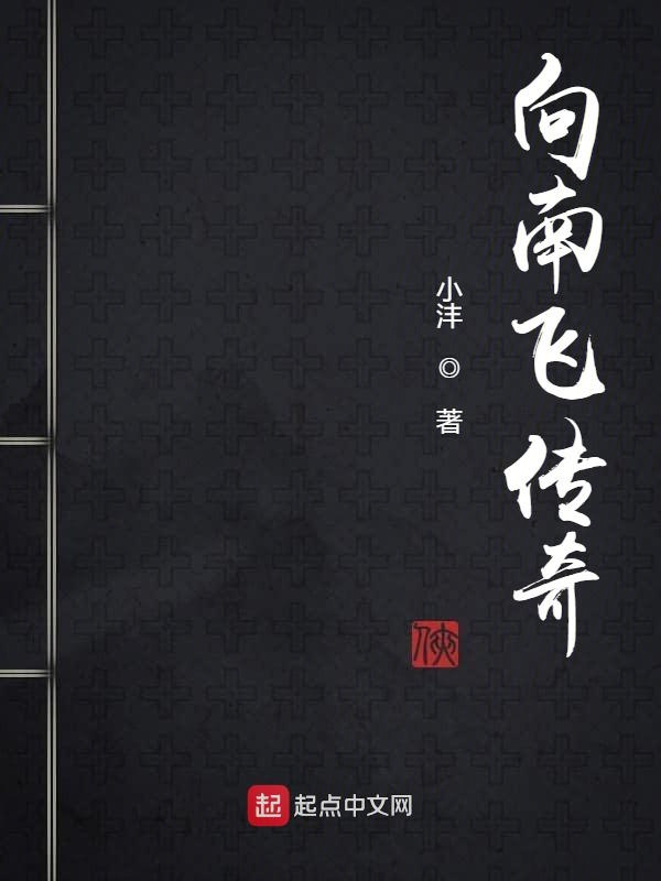 向南飞传奇