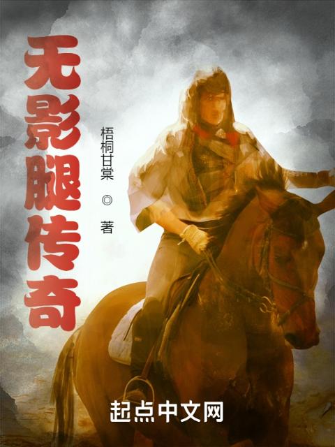 无影腿传奇