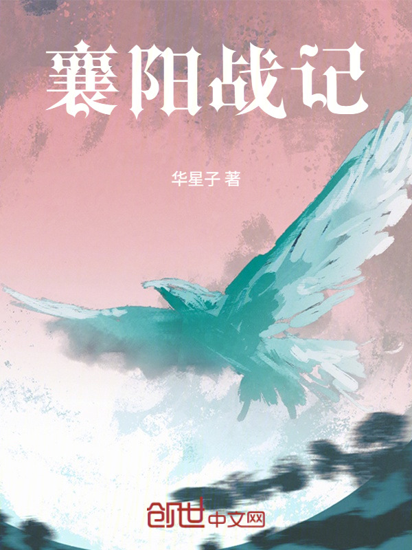 襄阳战记