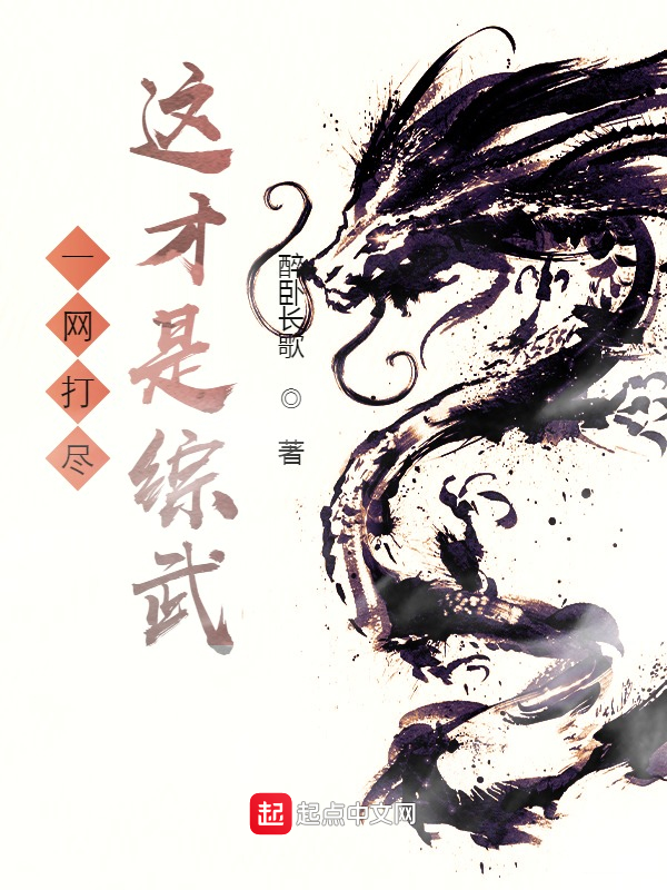 一网打尽，这才是综武