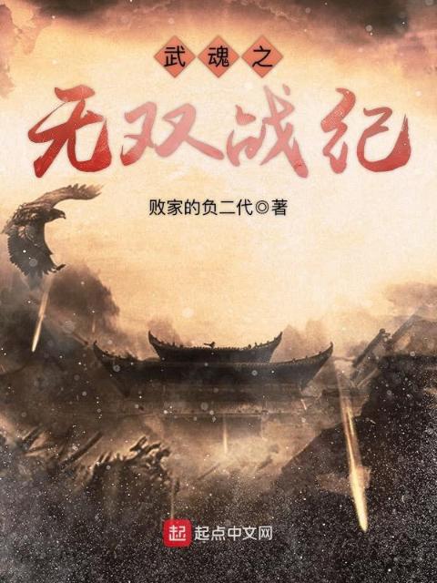 武魂之无双战纪