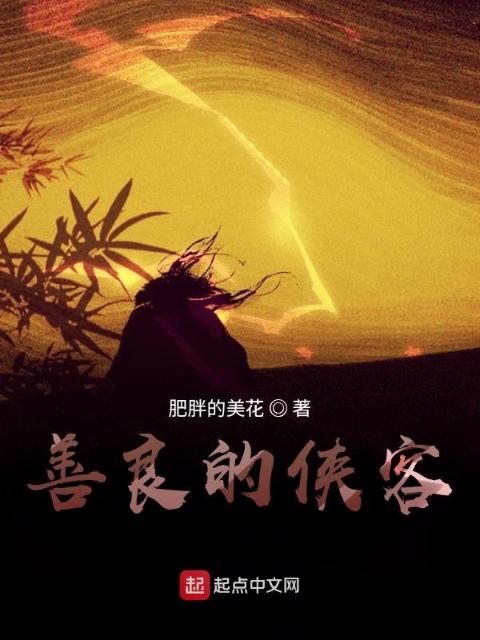 善良的侠客