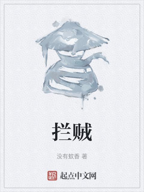 拦贼