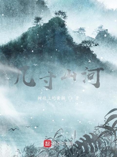 几寸山河