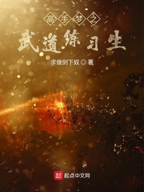 高手梦之武道练习生