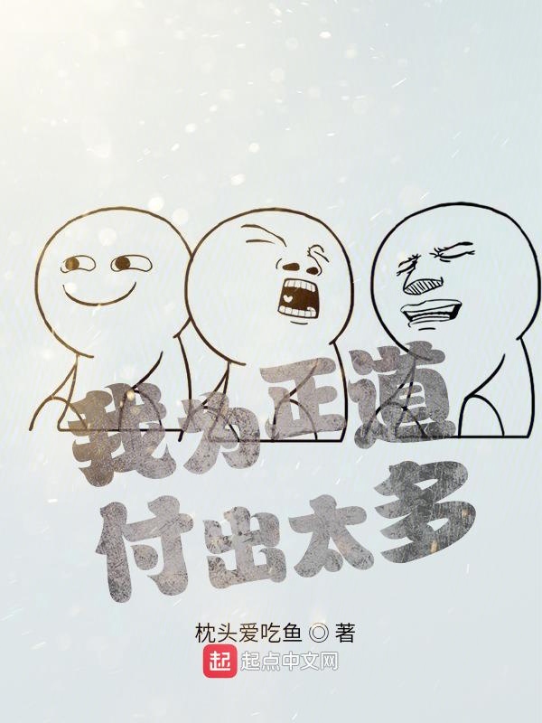 我为正道付出太多！