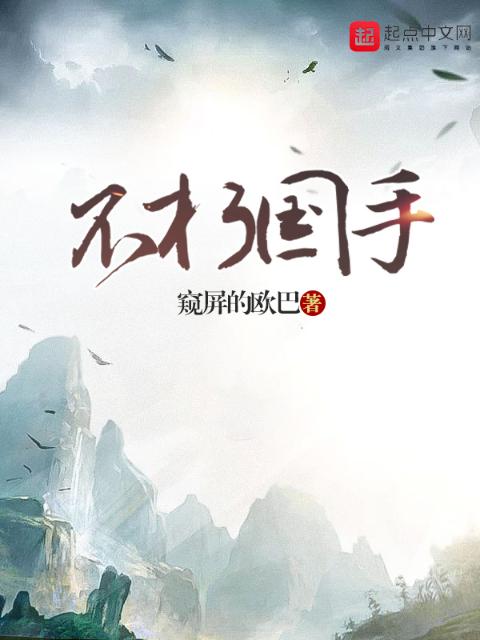 加勒比女海盗2斯蒂内塔的复仇在线