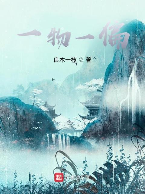 一物一偏