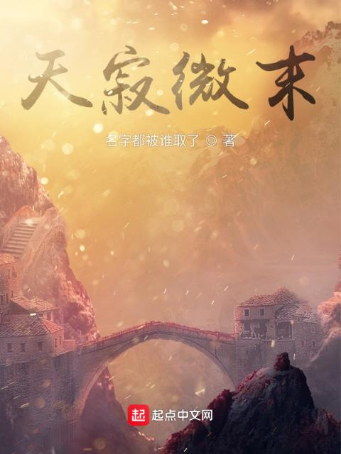 天寂微末