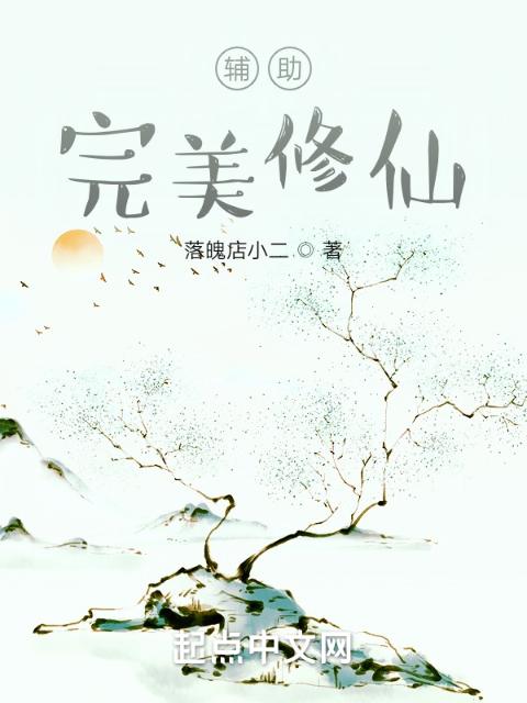 辅助完美修仙