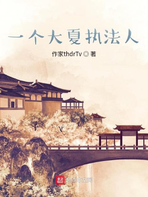 一个大夏执法人