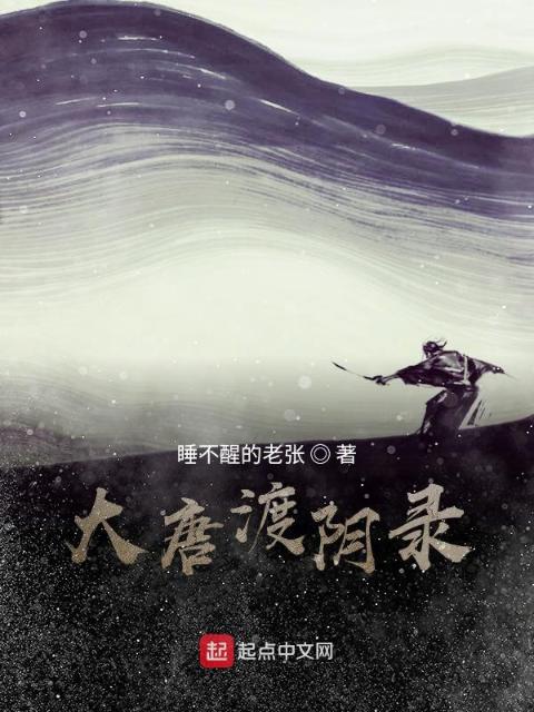 大唐渡阴录