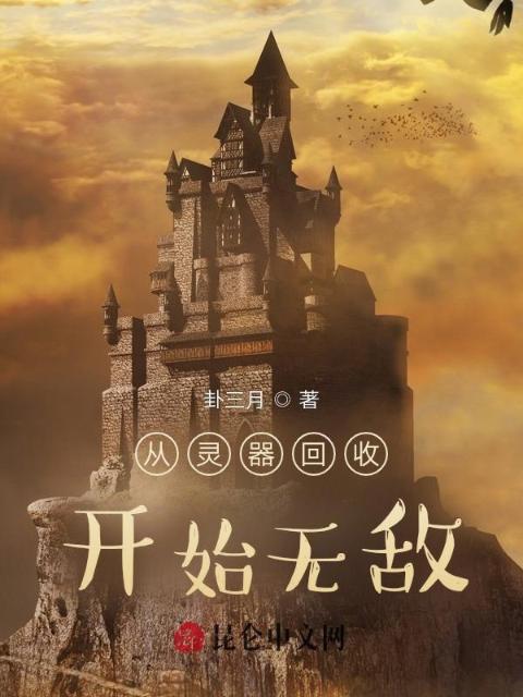 从灵器回收开始无敌