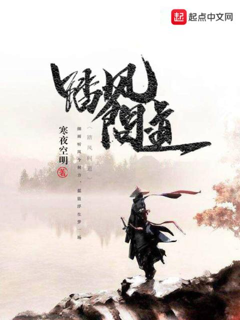 踏风问道