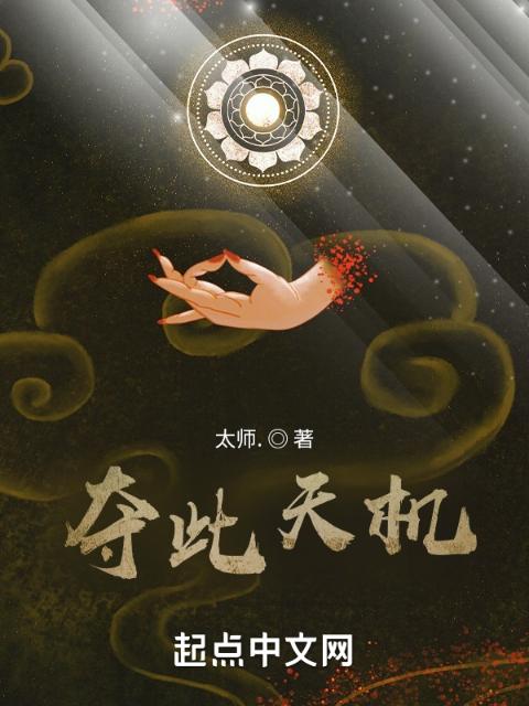 夺此天机