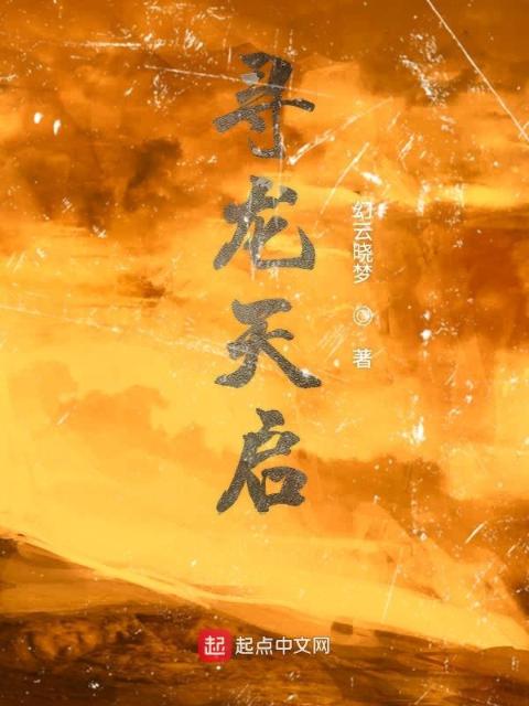 寻龙天启