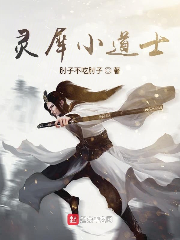 灵犀小道士