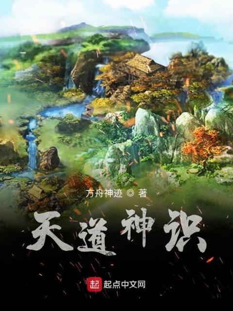 天道神识