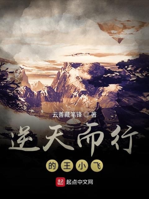 逆天而行的王小飞