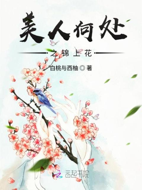 美人何处之锦上花