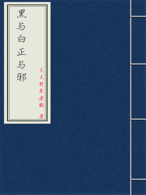 黑与白正与邪