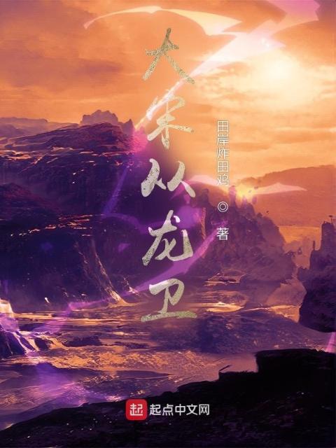 大宋从龙卫