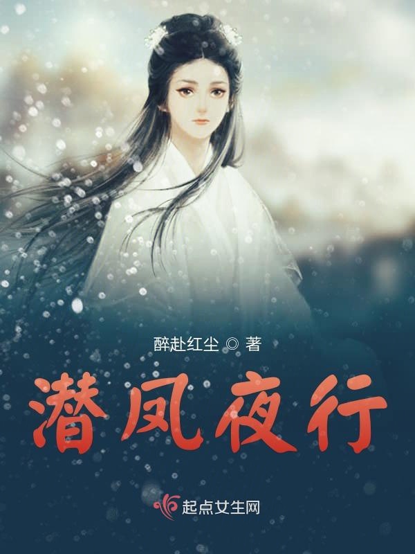 潜凤夜行