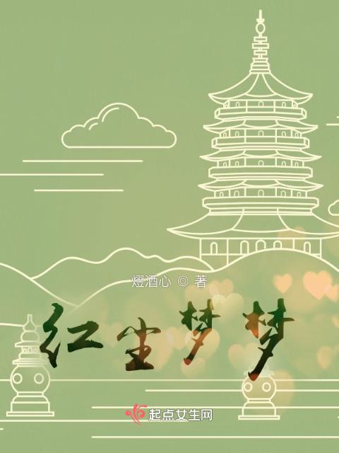 穿越正在洞房一妻三夫的小说