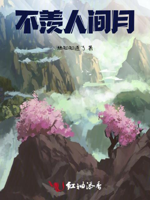 不羡人间月