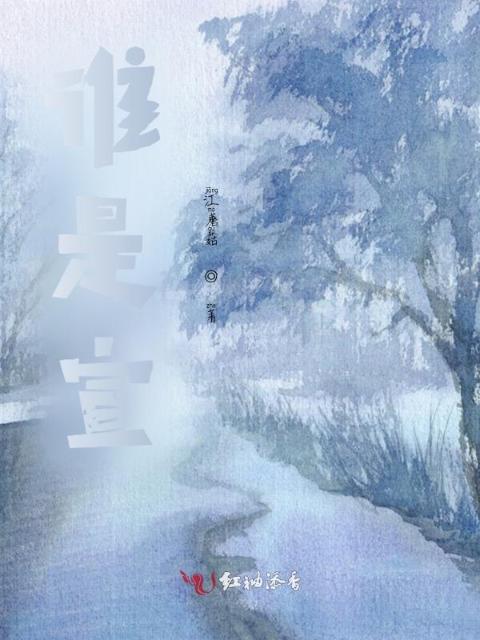 谁是宣？