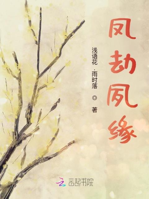 凤劫夙缘