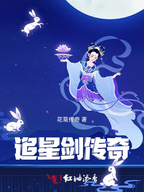 追星剑传奇