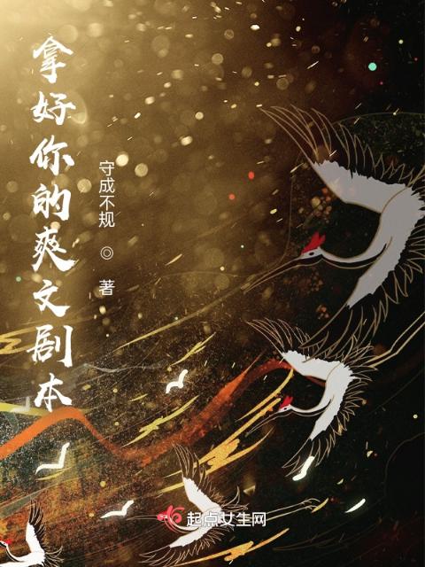 拿好你的爽文剧本
