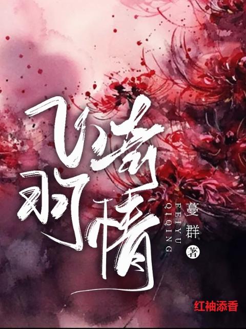 飞羽奇情