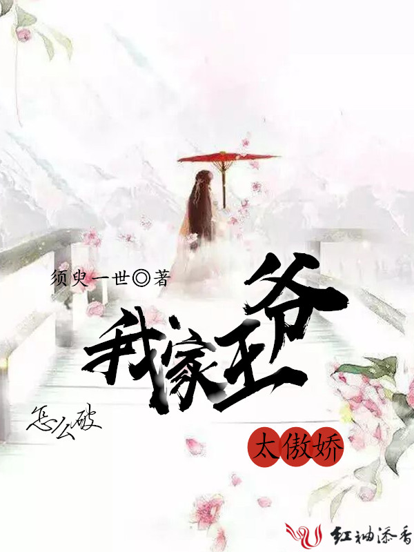 怎么破我家王爷太傲娇