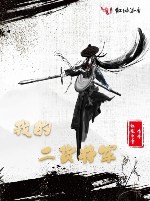 我的二货将军