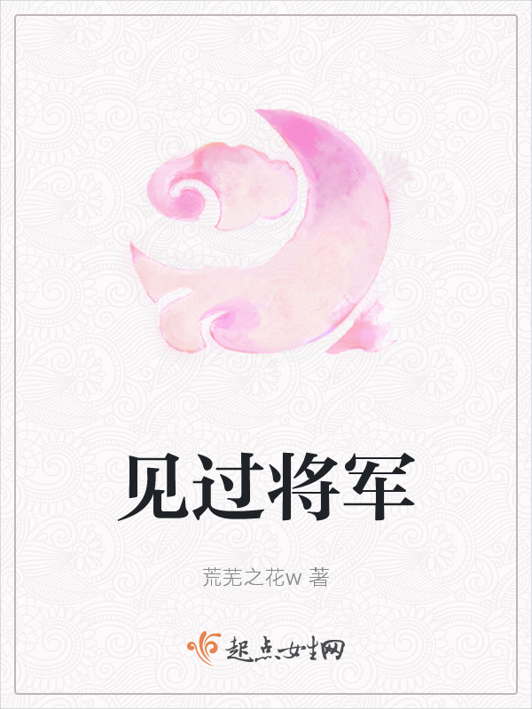 见过将军
