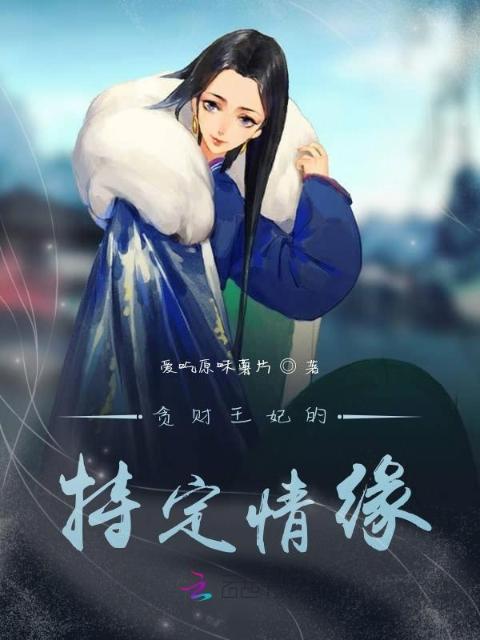 贪财王妃的特定情缘