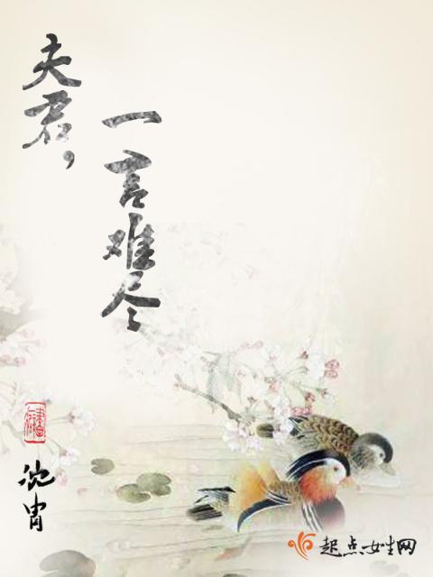 夫君，一言难尽