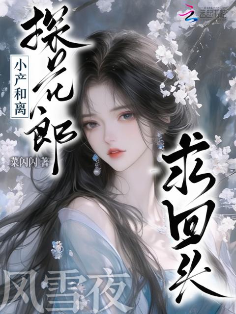小产和离，探花郎风雪夜求回头