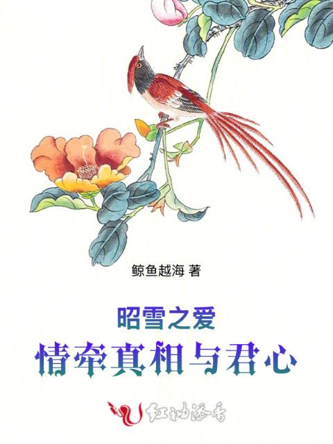 昭雪之爱：情牵真相与君心