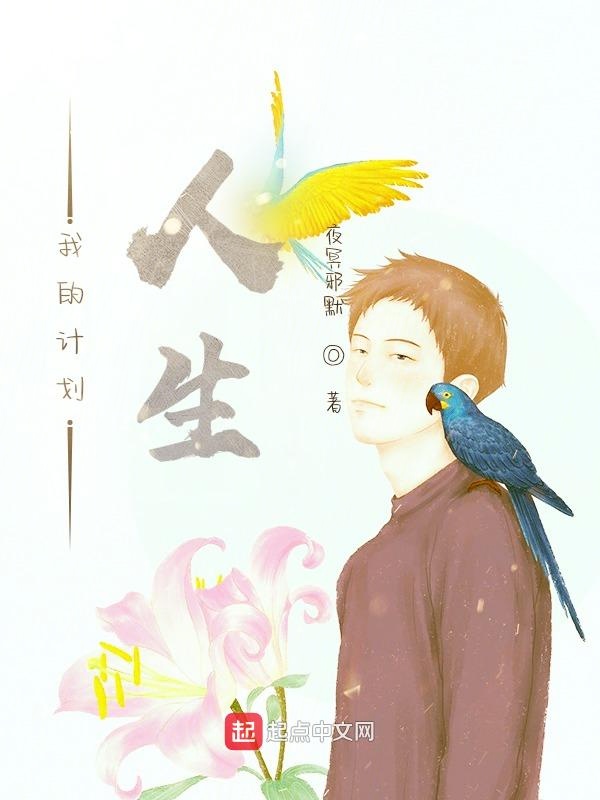 我的计划人生